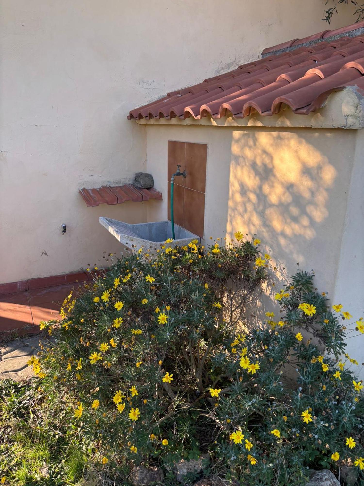 Cottage With A Great Fenced Garden In The Tuscan Countryside Cecina  Extérieur photo